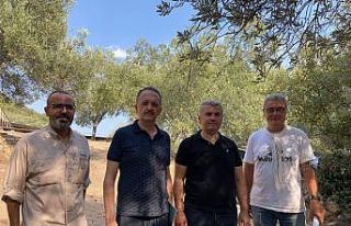 Canbey “Antandros Antik Kenti Kazı Alanı, Edremit’in...
