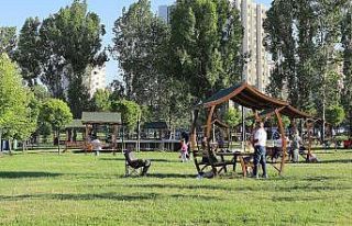Çankaya parklarında sonbahar hazırlığı