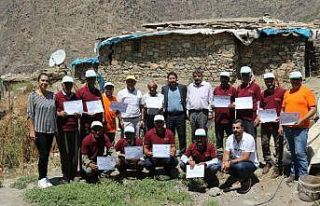 Çatak’ta Bıttım ağaçlarının fıstığa dönüştürülmesi...