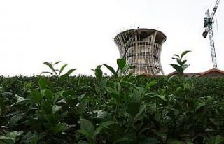 Çay Çarşısı’nda sadece göze değil buruna...