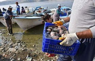 Çayırhan Gölü’nde balıkçılar "Vira Bismillah"...