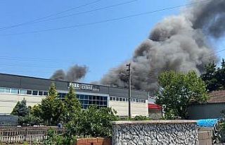 Çerez fabrikası alev alev yandı