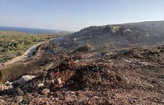 Çeşme’de, eski çöplükte yeniden çıkan yangının...