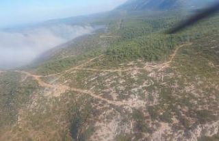 Çeşme’deki orman yangını kısmen kontrol altında
