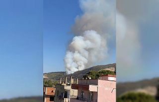 Çine’de orman yangını