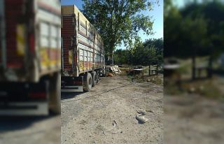 Çocuklarının sünnet davetiyelerini dağıtan kamyon...