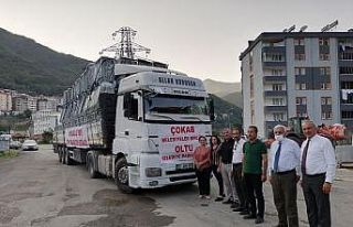 ÇOKAP’tan sel afatından zarar görenlere konteyner...