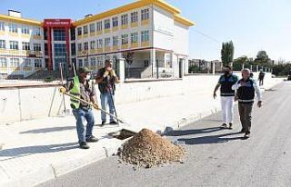 Çorum Belediyesi, 13 bin ağacı toprakla buluşturdu