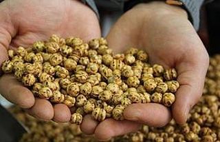 Çorum leblebisinin sağlıklı ve besleyici atıştırmalık...