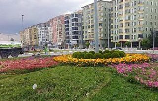 Çorum’da belediye kenti çiçeklerle donatıyor