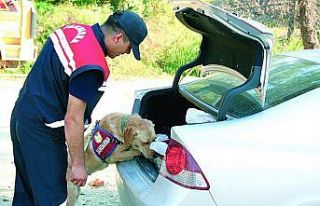 Çorum’da haklarında arama kararı bulunan 46 kişiyi...