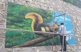 Çukurca ilçesine yapılan resimler göz kamaştırıyor