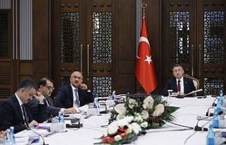 Cumhurbaşkanı Yardımcısı Oktay: “Hedefimiz...