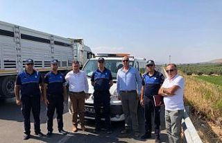 Daire Başkanı Arslan’dan hal denetim birimlerine...