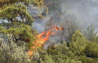 Dalaman’da da yangın başladı