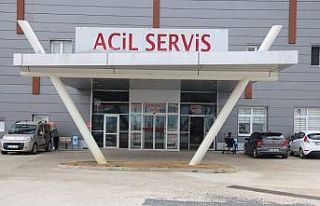 Dananın darbesi ile hastanelik oldu