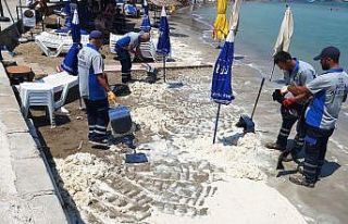 Datça sahilinde tedirgin eden görüntü