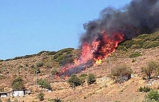 Datça’da makilik yangını başladı