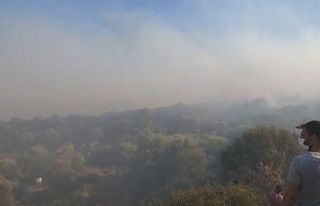 Datça’da makilik yangını kontrol altına alındı