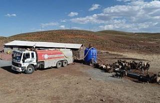 DBB kuraklıktan etkilenen hayvancılara tankerlerle...
