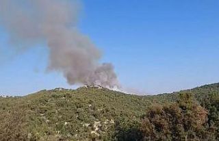 Demre’de de orman yangını çıktı