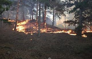 Denizli bir uçtan bir uca yanıyor