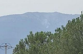 Denizli Honaz’da orman yangını çıktı