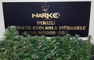 Denizli’de 11 zehir taciri gözaltına alındı