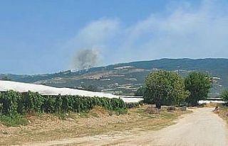 Denizli’de başlayan orman yangını için halk...
