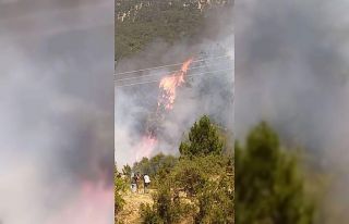 Denizli’de yerleşim yerine yakın alanda orman...