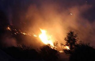 Denizli’de yerleşim yerine yaklaşan yangın devam...