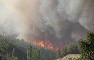 Denizli’deki 5 orman yangını tamamen söndürüldü