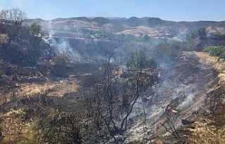 Dere yatağında çıkan yangın bağlara ve zeytinliklere...