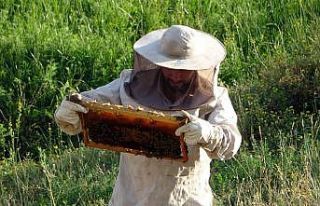 Devletin desteğiyle aracılık yapmaya başladı,...