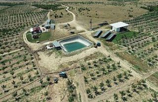 Devletin hibe verdiği projelere drone destekli denetim
