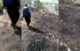 Dicle kırsalında çıkan örtü yangını söndürüldü