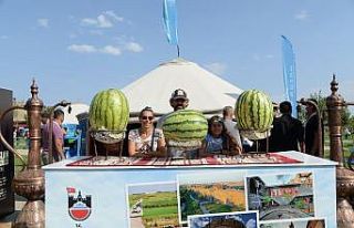 Diyarbakır Büyükşehir Belediyesi Ahlat Otağında