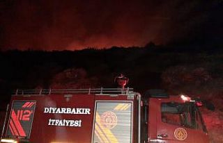 Diyarbakır Büyükşehir Belediyesi, Alanya’da...