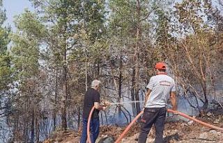 Diyarbakır İtfaiyesi Alanya’da yangına müdahale...