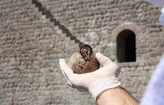 Diyarbakır’da 782 adet 1. Dünya Savaşına ait...