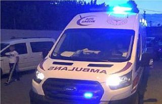 Diyarbakır’da hayvan otlatma kavgası: 2 ölü