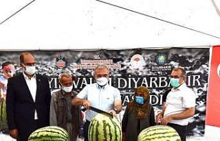 Diyarbakır’da yarışacak tescilli karpuzların...
