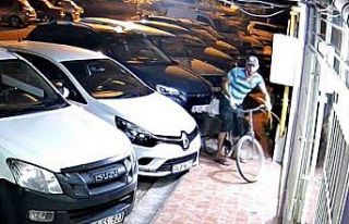 Doğalgaz panosunun kablolarını çaldı