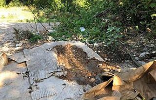 Doğaya bilinçsizce bırakılan köpek mamaları...