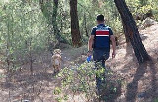 Düğünden sonra kaybolan kadın için aramalar devam...