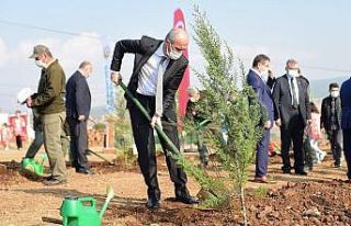 Dulkadiroğlu’nun nüfusu kadar fidan dikilecek