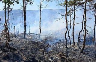 Dünyanın ikinci büyük kraterindeki yangın kontrol...