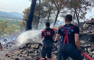 Düzce itfaiyesi Muğla yangınlarına müdahale ediyor