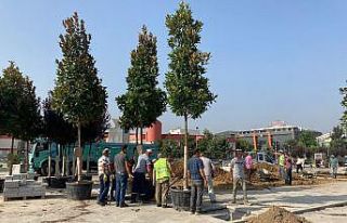 Düzce kent merkezinde 49 ağacın dikimine başlandı