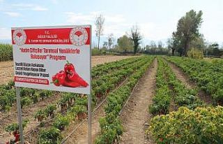Düzce’de 1 milyon 494 bin dekar tarım arazisi...